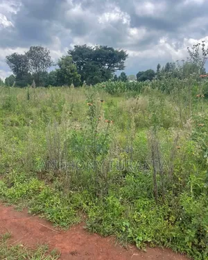 1/8 Plots For Sale