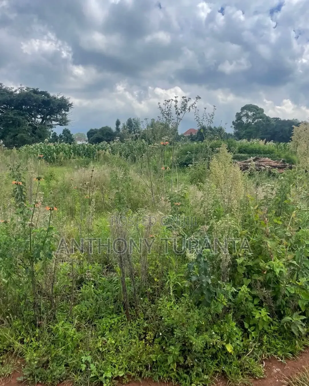 1/8 Plots For Sale