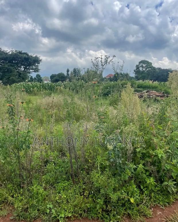 1/8 Plots For Sale - thumbnail 6