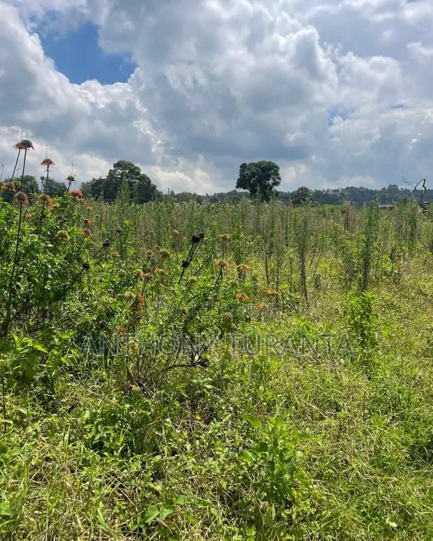 1/8 Plots For Sale - thumbnail 7