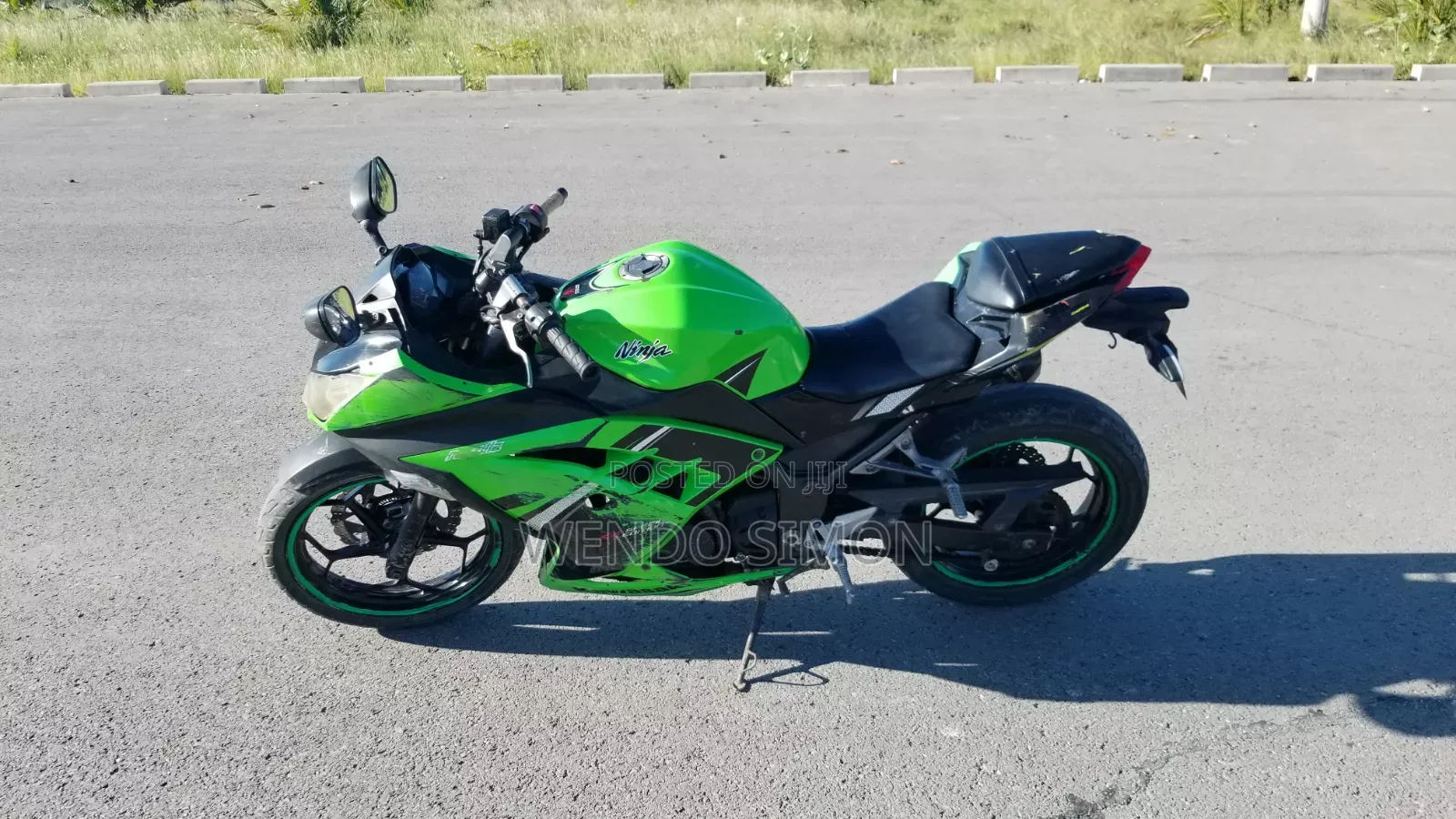 Kawasaki Ninja 300 2016 Green