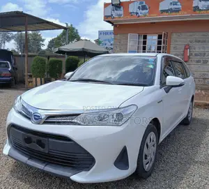 Toyota Corolla Fielder 2019 White