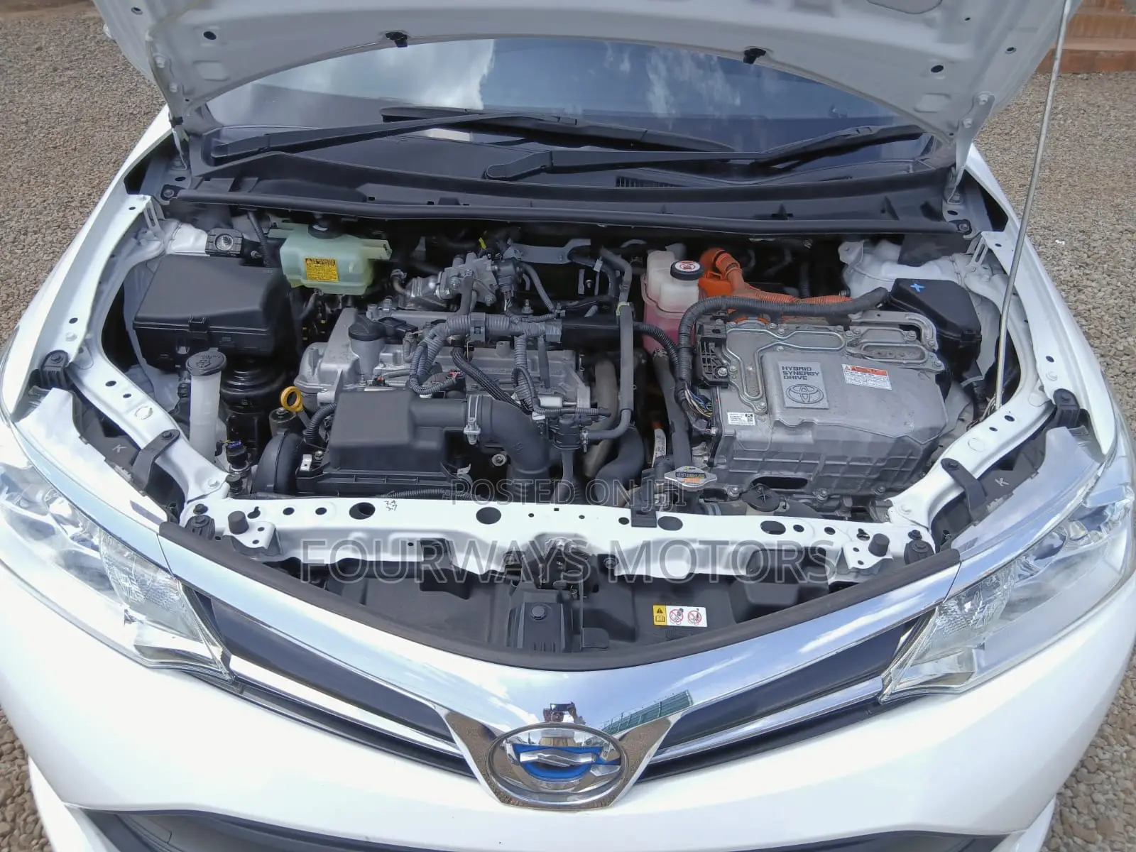 Toyota Corolla Fielder 2019 White