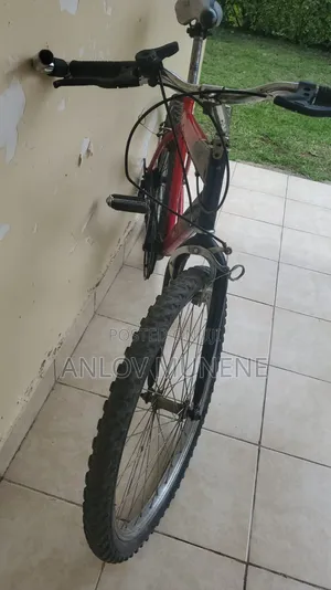 Galaxy Bike