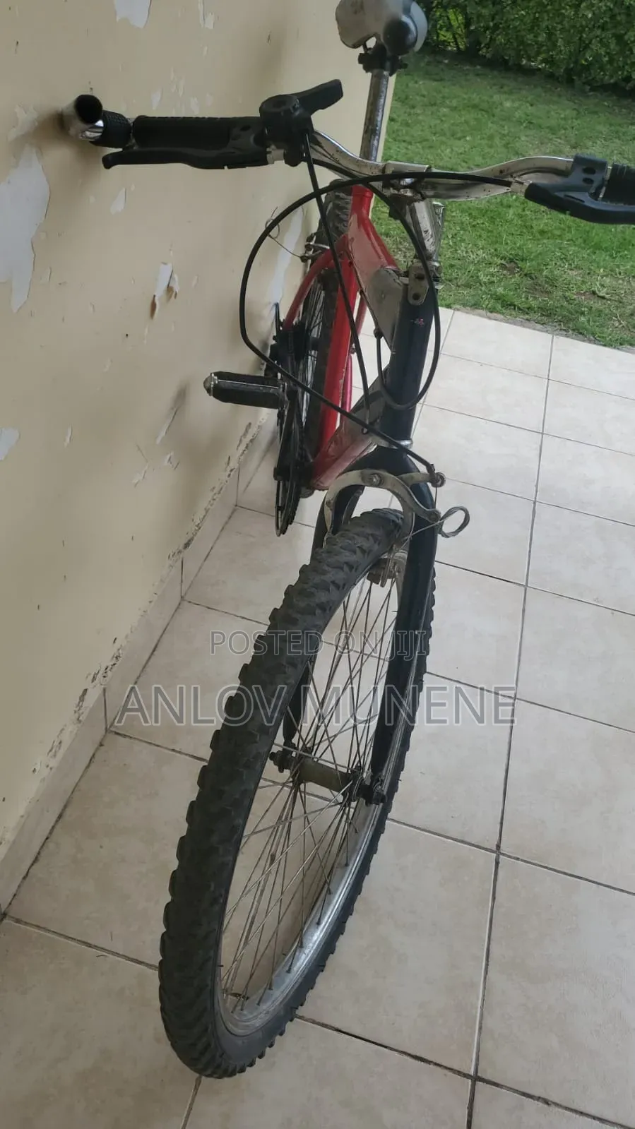 Galaxy Bike