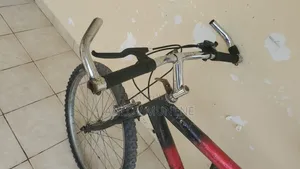 Galaxy Bike