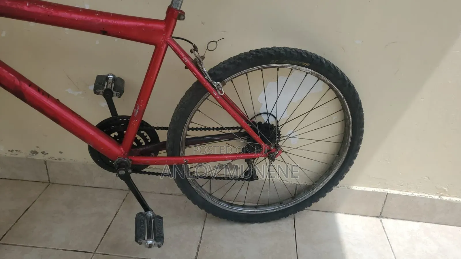 Galaxy Bike