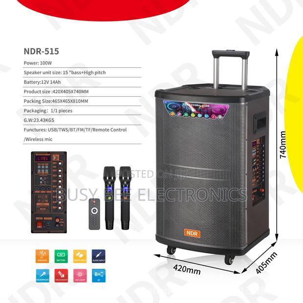 NDR-515 Professional 15-Inch Speaker - thumbnail 4