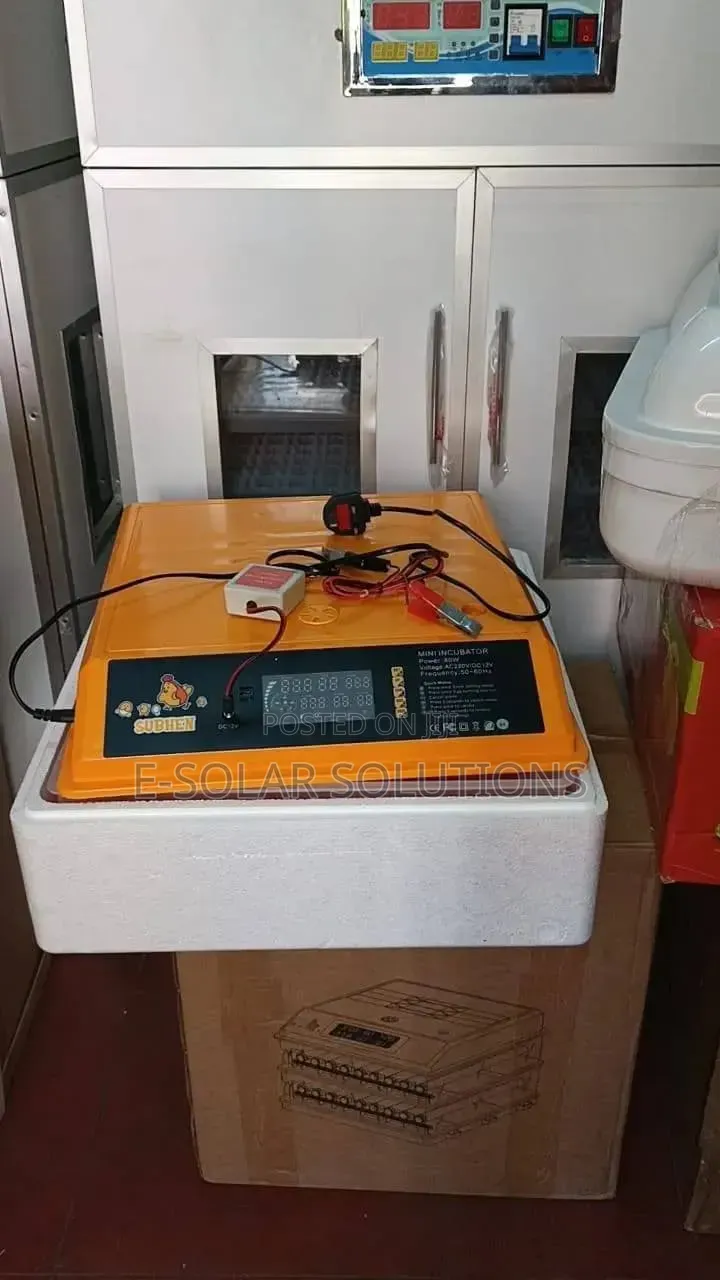 64eggs Incubator