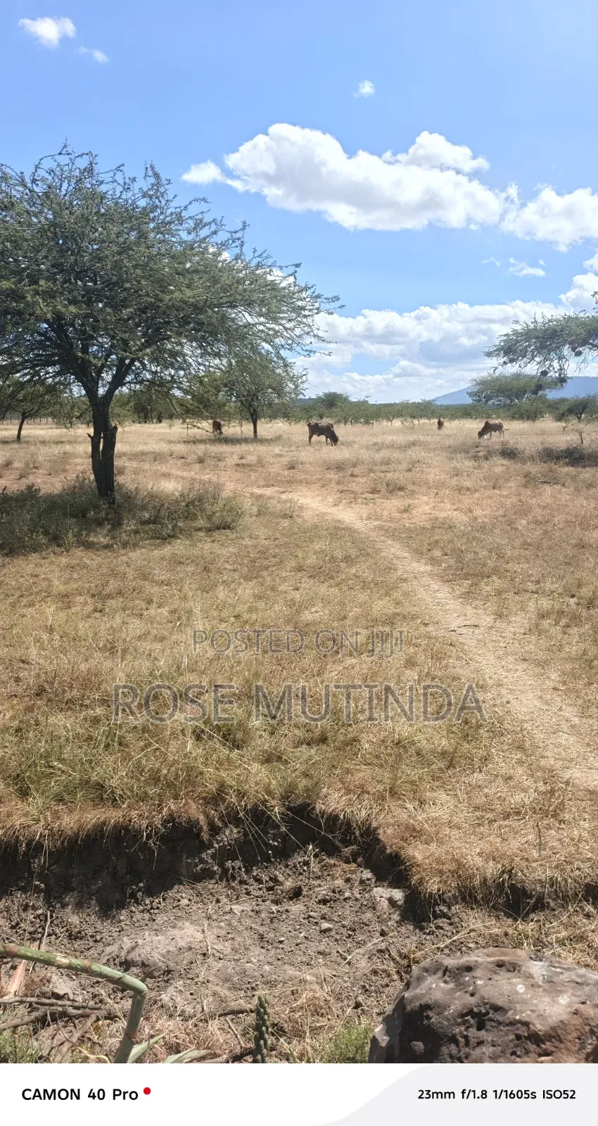 10acre at Nguluni