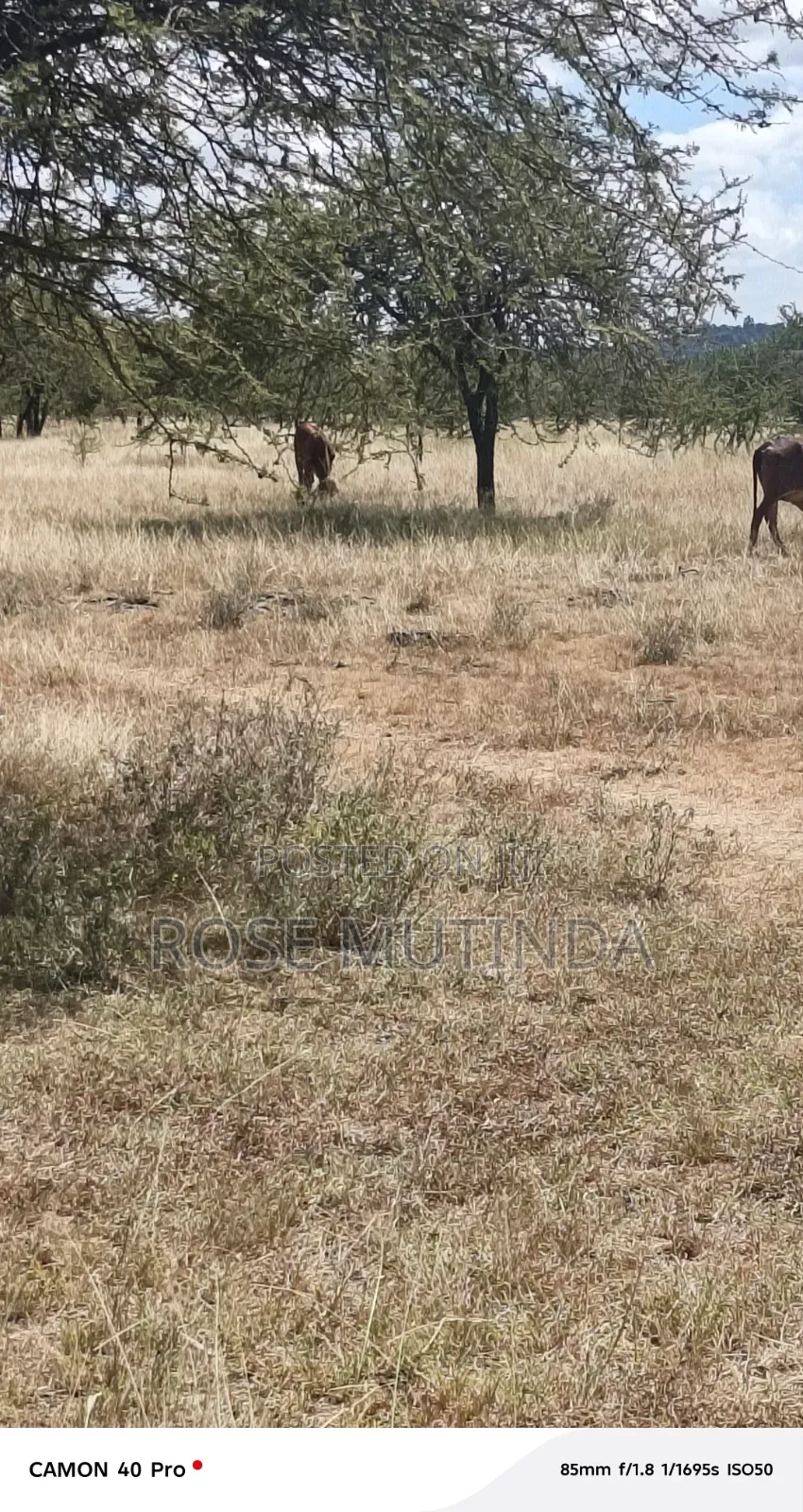 10acre at Nguluni