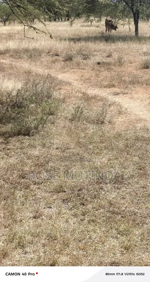 10acre at Nguluni