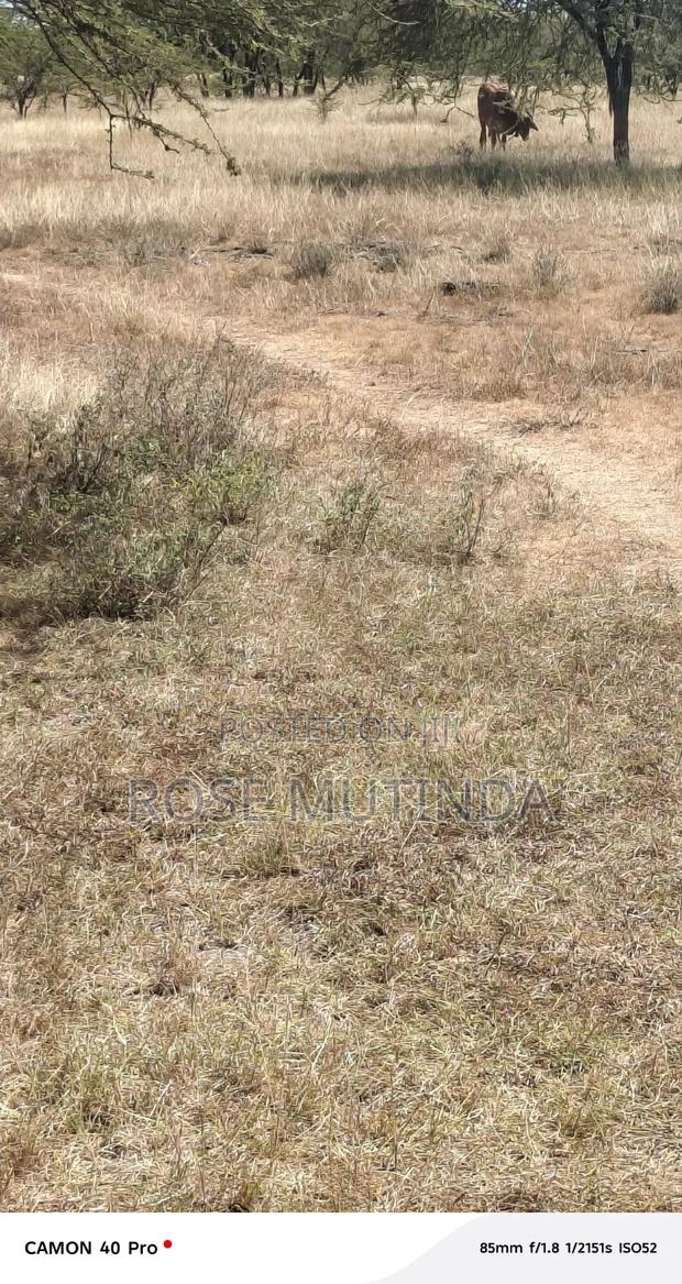 10acre at Nguluni - thumbnail 5
