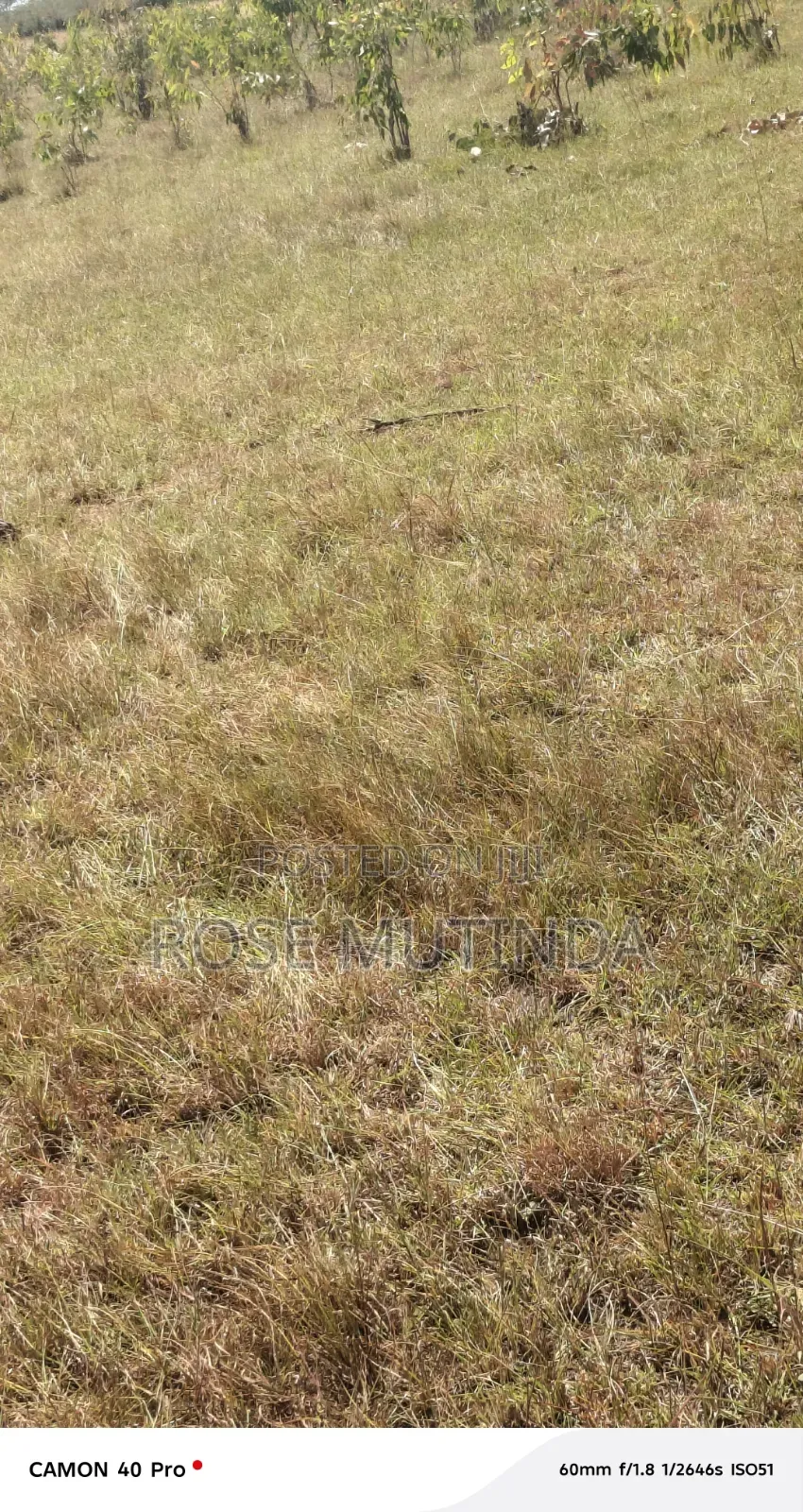 10acre at Nguluni