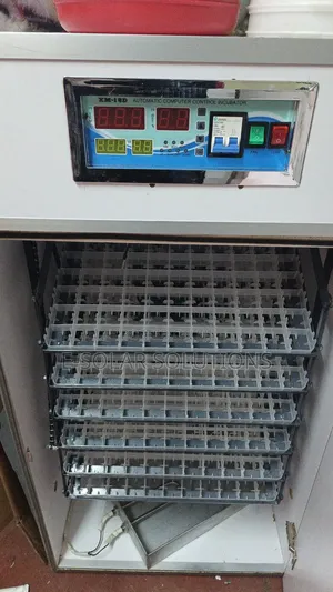 1056 Eggs Incubator
