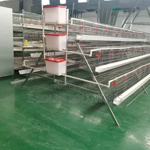 128 Birds Cages
