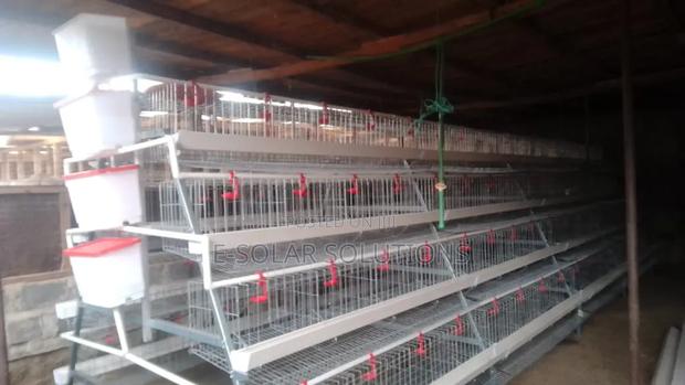 128 Birds Cages - thumbnail 2