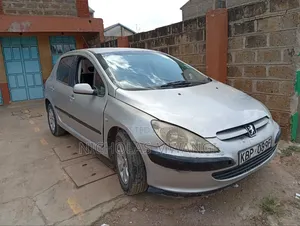 Peugeot 307 2009 Silver