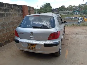 Peugeot 307 2009 Silver