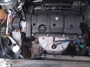Peugeot 307 2009 Silver