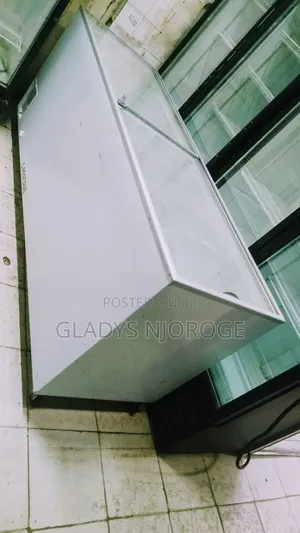 Display Freezer 750l