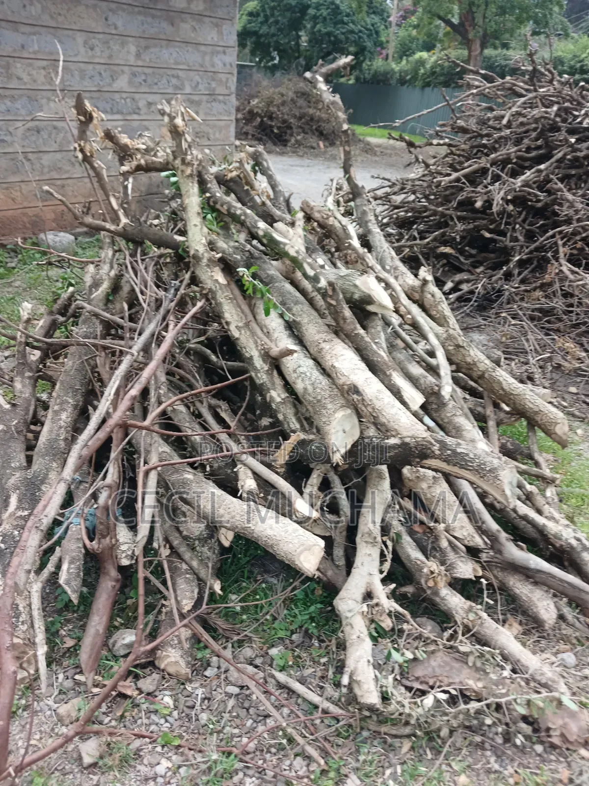 Cooking Firewood