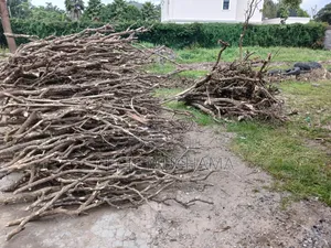 Cooking Firewood