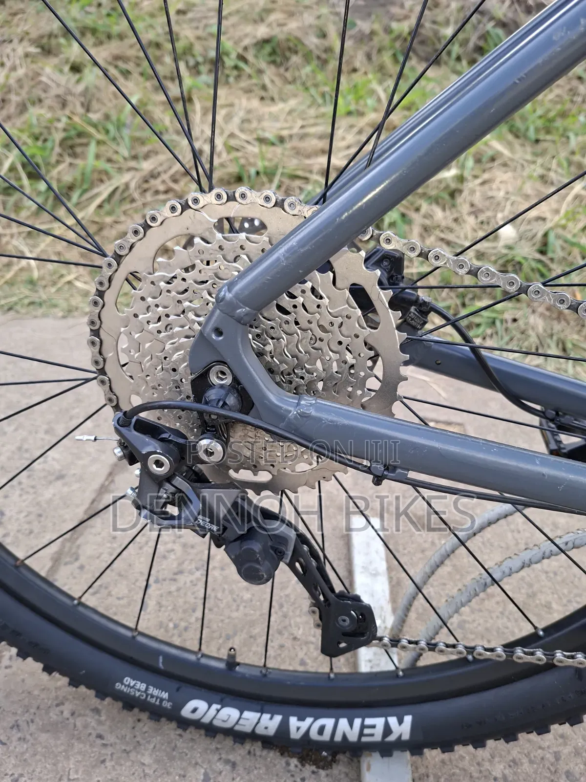 Forme Curbar 1 2023 Model 29er