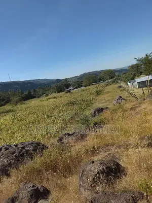 50 X 100 Plot Elementaita Gilgil -Nakuru Highway - KSH 1.7 M