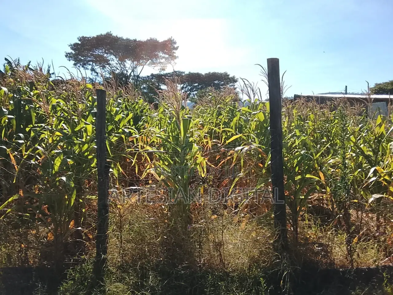 50 X 100 Plot Elementaita Gilgil -Nakuru Highway - KSH 1.7 M