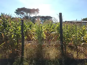 50 X 100 Plot Elementaita Gilgil -Nakuru Highway - KSH 1.7 M