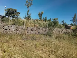 50 X 100 Plot Elementaita Gilgil -Nakuru Highway - KSH 1.7 M