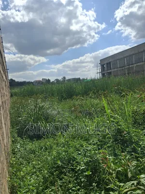 Roysambu Kamiti Road Opposite Cooperative Bank Commercial 1/8 Ac