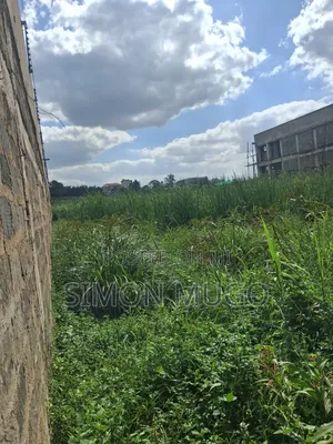 Roysambu Kamiti Road Opposite Cooperative Bank Commercial 1/8 Ac
