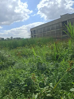 Roysambu Kamiti Road Opposite Cooperative Bank Commercial 1/8 Ac