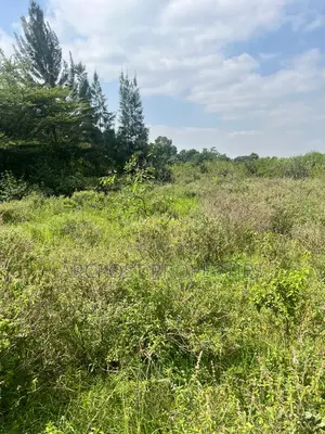 Prime 1/2 Acre Plot for Sale in Karen Plains Gated Community