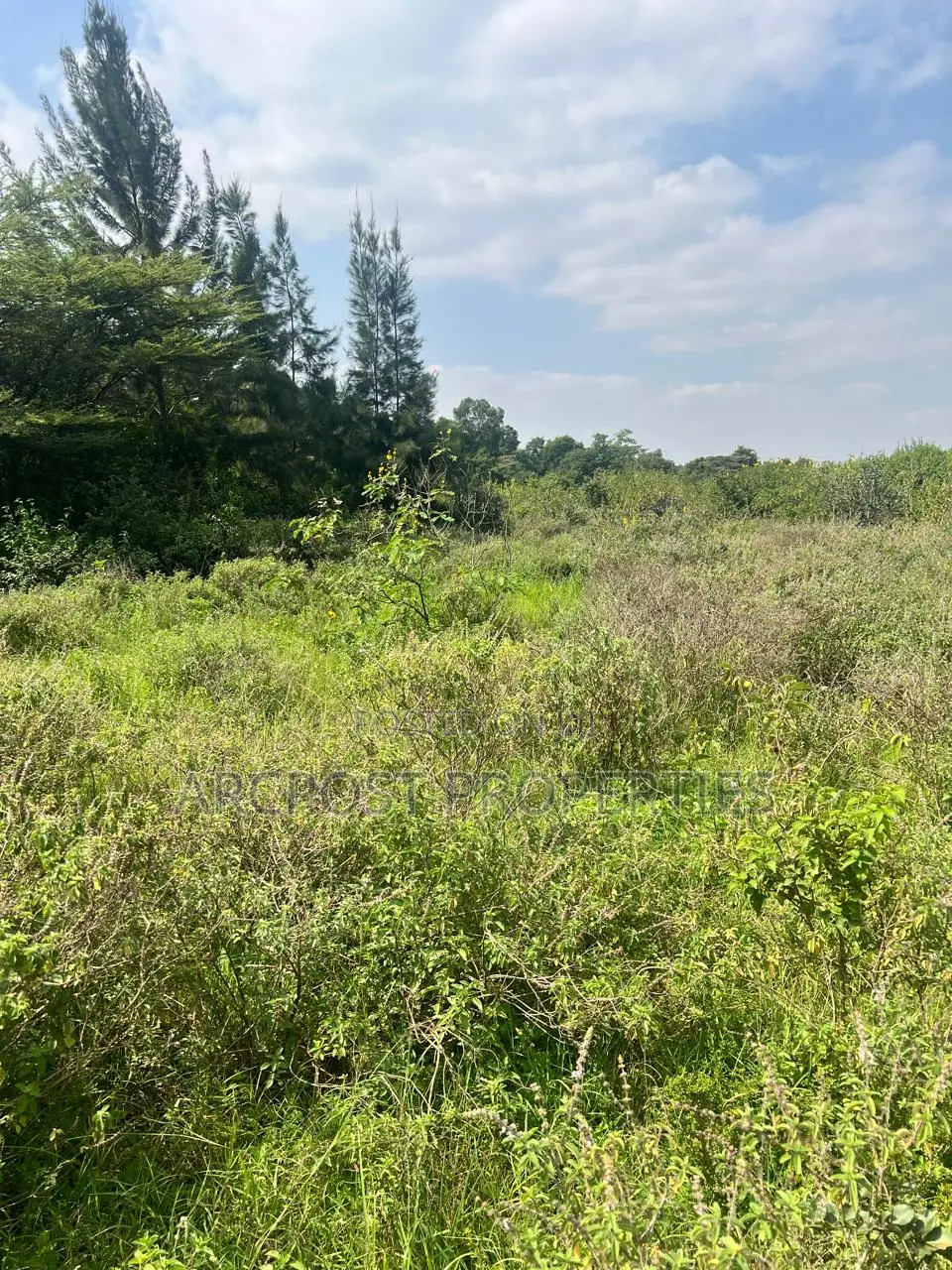 Prime 1/2 Acre Plot for Sale in Karen Plains Gated Community