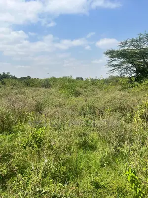 Prime 1/2 Acre Plot for Sale in Karen Plains Gated Community