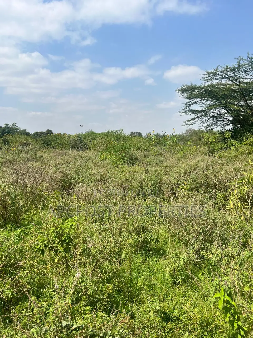 Prime 1/2 Acre Plot for Sale in Karen Plains Gated Community