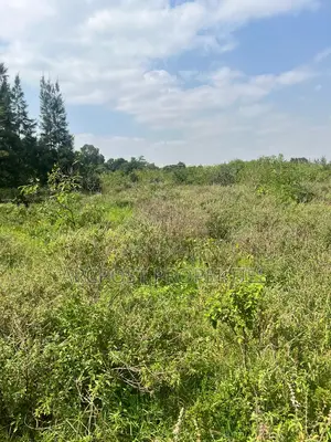 Prime 1/2 Acre Plot for Sale in Karen Plains Gated Community