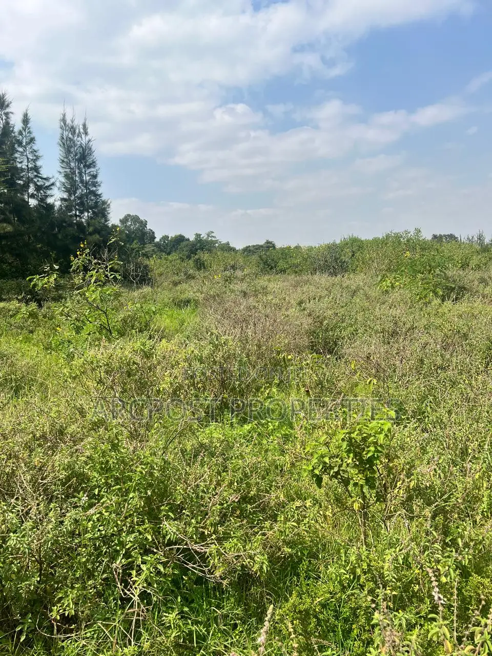 Prime 1/2 Acre Plot for Sale in Karen Plains Gated Community