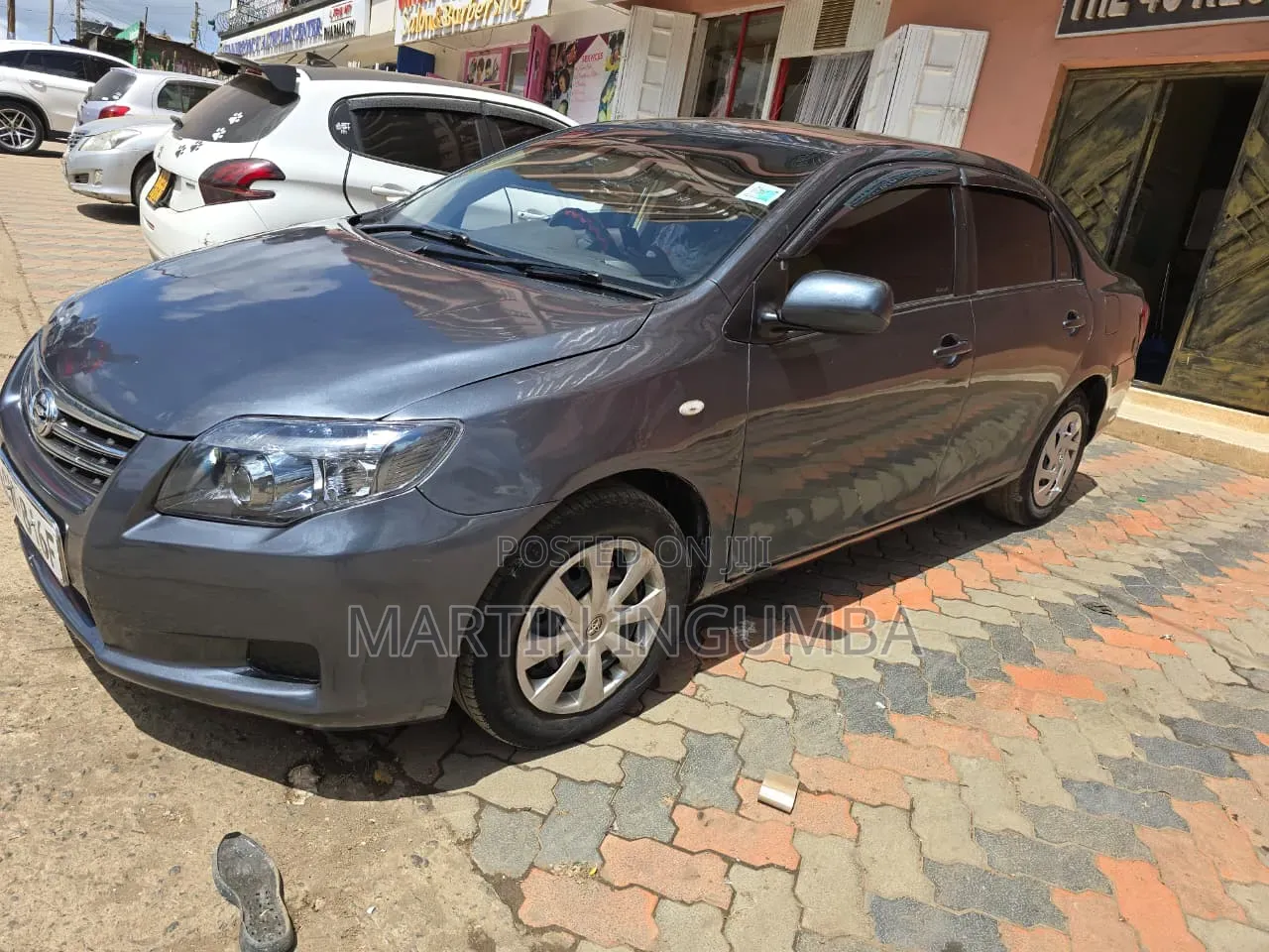 Toyota Axio 2010 Gray