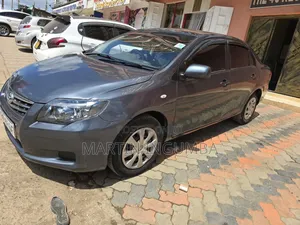 Toyota Axio 2010 Gray