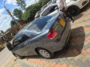 Toyota Axio 2010 Gray