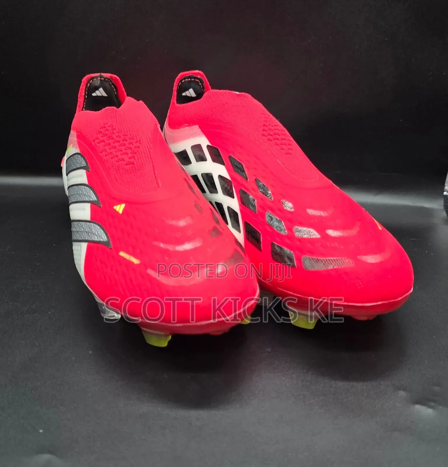 Predator 26 Spine Laceless