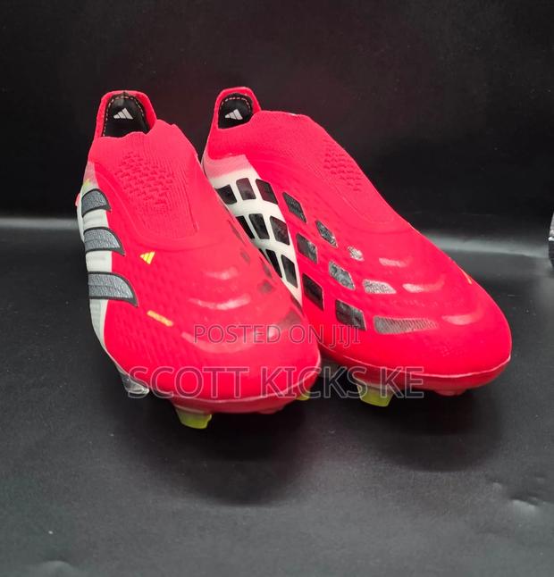 Predator 26 Spine Laceless - main view