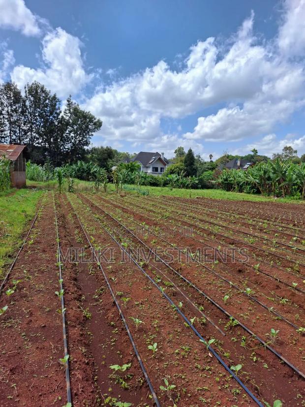 Prime Half an Acre on Sale at Karen - thumbnail 4