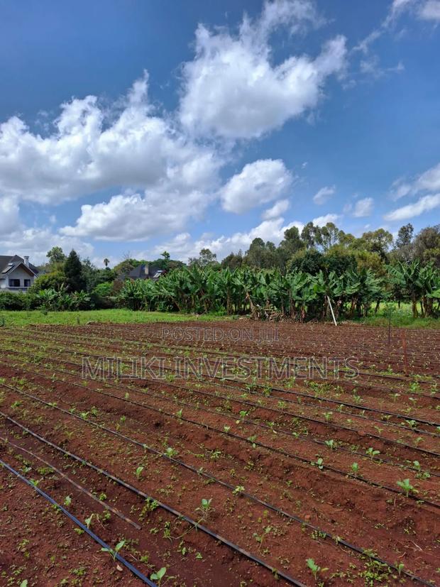 Prime Half an Acre on Sale at Karen - thumbnail 7