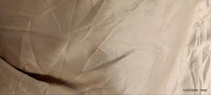 Door Curtain