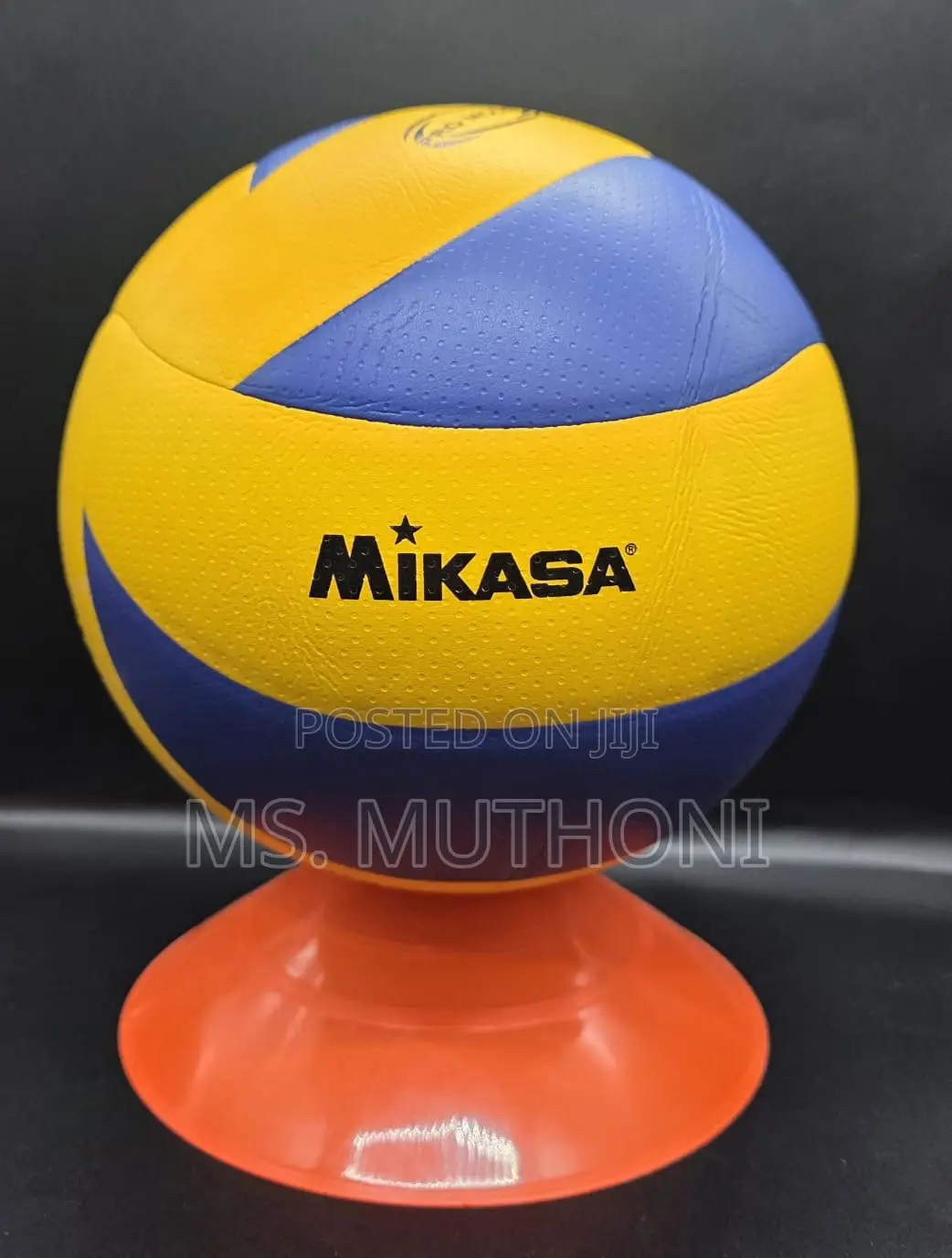 Size 5 Mikasa V300w Indoor Volleyball,